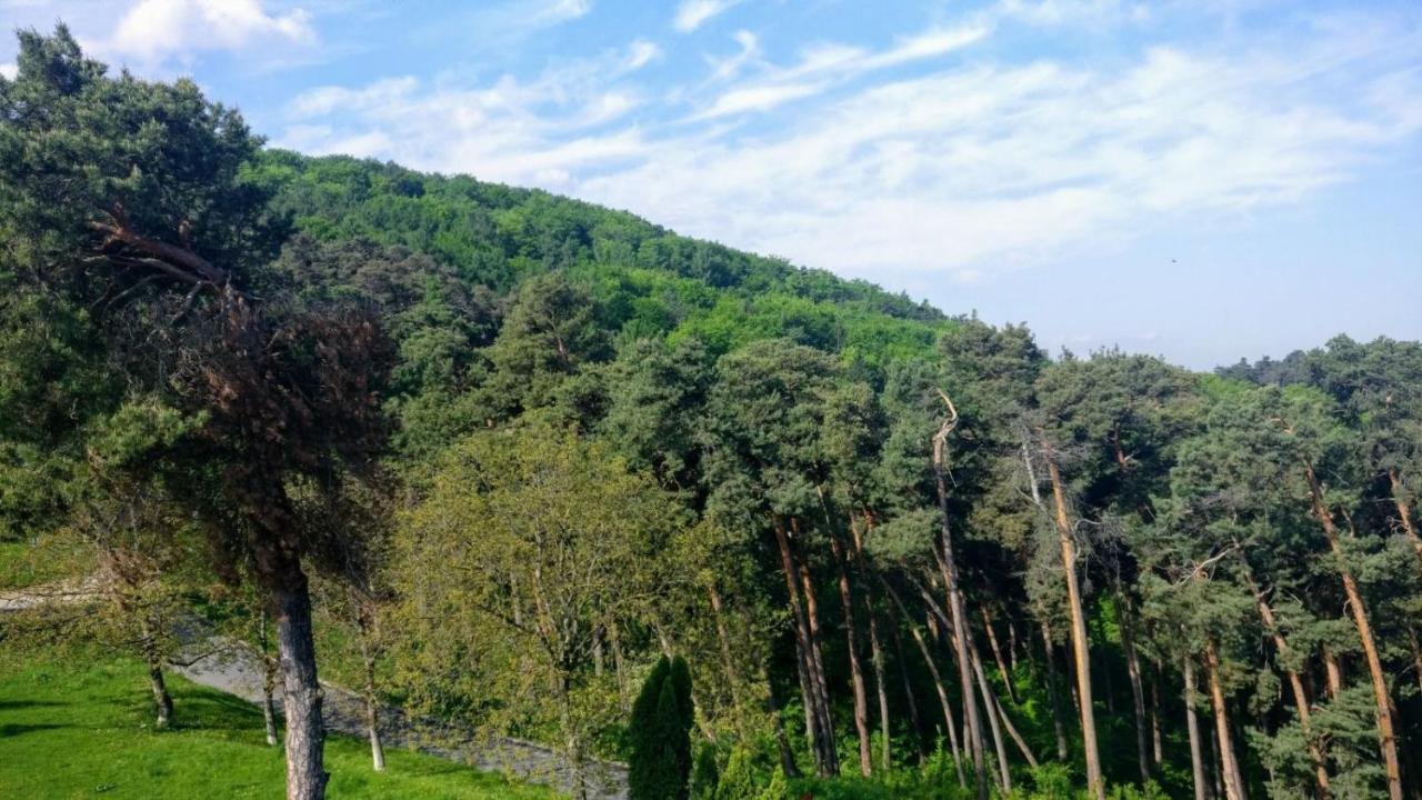 The Pines Boutique Villa Брашов Экстерьер фото